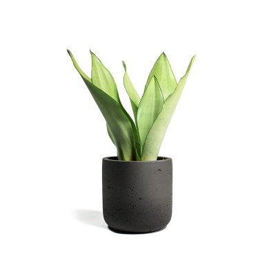 Nearly Natural Agave Succulent in Planter
